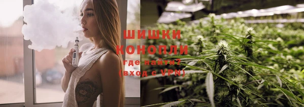 стафф Козловка