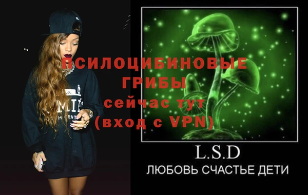стафф Козловка