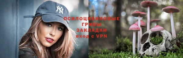стафф Козловка