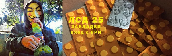 стафф Козловка