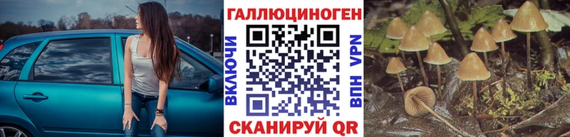 Купить закладки  Грайворон  Псилоцибиновые грибы Magic Shrooms 